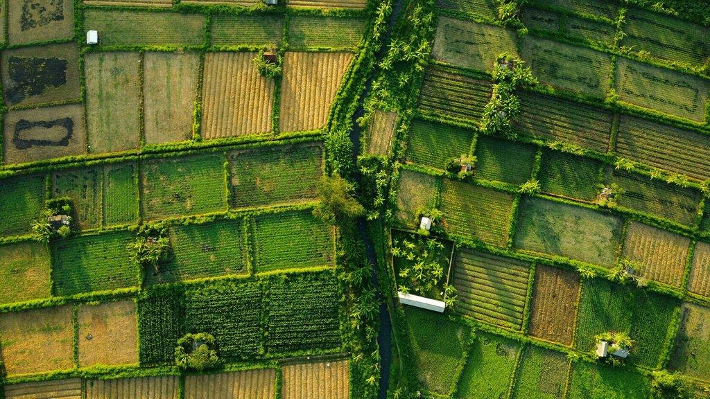 Hill View Farm